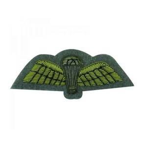 Parche de Ala con Insignia de Piloto de Aviación Bordado de Primera Calidad, Emblema de Pecho de Piloto Personalizado con Rango de Capitán, Bordado en Hilo Metálico - Product Image 3