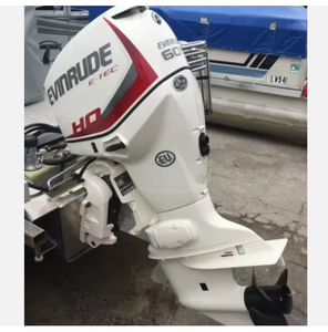 2018  E-TEC 60HP en venta - Product Image 1