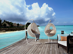 <b>SWING</b> <b>NEST</b>(LCO/030/014) - Product Image 6