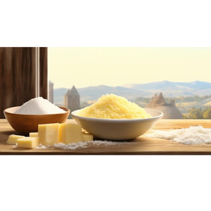 Queso en Polvo Natural de Calidad Superior a Bajo Precio, Grado Alimenticio, Secado por Aspersión Regular, Proveedor Indio, Aditivos a Granel, Sabores, Amarillo - Product Image 1