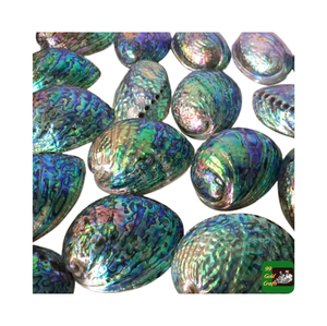 Vietnam coquillage Nail Art brut poli coquille d'ormeau Nature fée matériel Antique Imitation gros bas prix nacre - Product Image 1