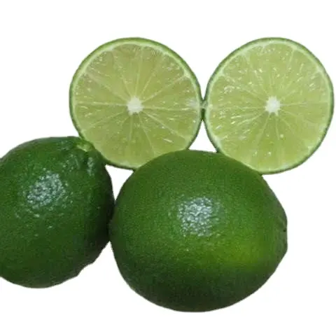 Nuovo arrivo di frutta fresca Lime senza semi pronto per l'esportazione in tutto il mondo-imballaggio OEM di alta qualità a buon mercato