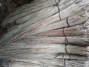 Matériau de bâton de balai de noix de coco brut naturel de haute qualité de l'usine au Vietnam - Product Image 4