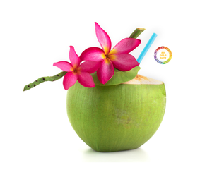 Jeune noix de coco verte fraîche garnie de jeune noix de coco à l'eau douce naturelle Idéal pour les boissons Origine Vietnam - Product Image 1