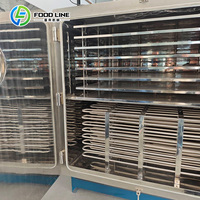 Commerciële kleine vriesdroogmachine voor snoep, fruit en voedsel - prijs