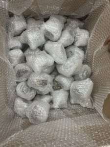 Coquillages Turbo Naturels Chauds Du Viet Nam Pour Décor Maison, Restaurant Brun Et Blanc - Product Image 6