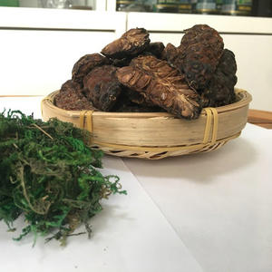 Fruit naturel séché noni meilleure vente de fruits secs morinda citrifolia fournis par la meilleure usine du Vietnam - Product Image 5