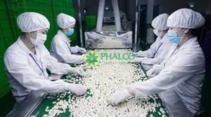 Noix de cajou WW180, WW240, WW320 du Vietnam, meilleur prix pour l'exportation, haute qualité - Product Image 2