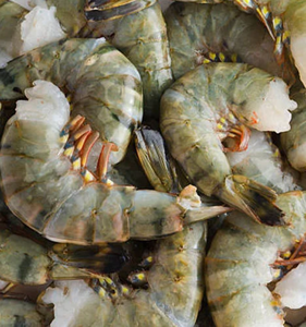 กุ้งแช่แข็งแบบไร้หัวกุ้งแช่แข็งจาก vannamei กุ้งแช่แข็ง/โรงงานผลิตกุ้งกุลาดำหัวขาดจาก VI - Product Image 3