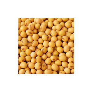 ถั่วเหลืองออร์แกนิคแบบ Gmo และ Non-Gmo สำหรับอบแห้ง - Product Image 1