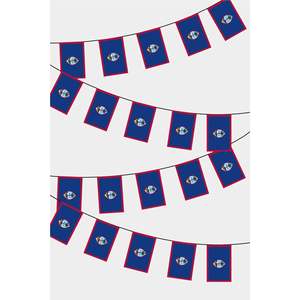 Guirnalda de Banderines Rectangulares de Guam para Celebraciones de Regreso a Clases, Graduación, Navidad, Año Nuevo, Pascua, Año Nuevo Chino, Material de Papel - Product Image 1