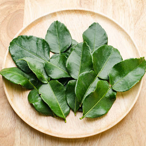 KAFFIR NATURAL DE VIETNAM CONGELADO HOJAS DE LIMA 100% HIERBAS AROMÁTICAS PREMIUM RECIÉN COSECHADAS PARA EL MERCADO DE EXPORTACIÓN DE COCINA DE ALIMENTOS - Product Image 5