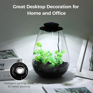 Terrarium en verre de bureau avec lumière de croissance 6,7 x 8,7 pouces Verre borosilicate Plante pour succulentes Mousse Miniature Jardinage Paysage - Product Image 2