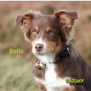 Les cloches de collier de chien bruyantes sauvent les oiseaux et la faune, collier de cloches pour chien de compagnie - Product Image 1