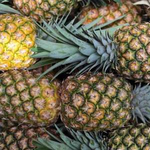 สับปะรดทอง MD2 คุณภาพสูง 100% ธรรมชาติ สับปะรดสด ราคาขายส่ง สับปะรดสดสำหรับส่งออก - Product Image 5
