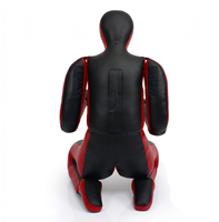 Arts martiaux Judo Karaté Jiu Jitsu Formation Grappin Mannequin