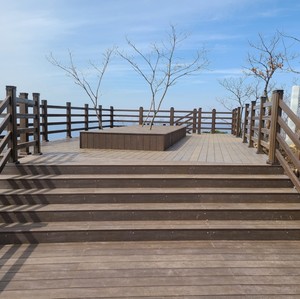 Plataforma de Madera Compuesta WPC Anywood, Corea del Sur, Certificada de Alta Gama, Ecológica, Antideslizante, Impermeable y Resistente a las Grietas - Product Image 3