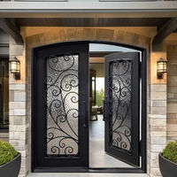 Porte en acier forgé européen rétro à double entrée avec vitrage pour cour de villa, taille personnalisée