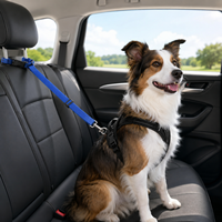Corde de voiture en nylon solide réglable et durable pour chiens et chats