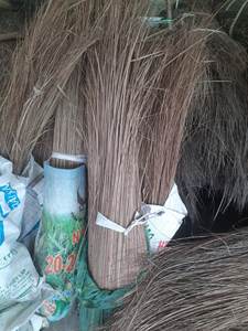 Balai en fibre de coco Idéal pour balayer les zones poussiéreuses Chemins extérieurs et entrepôts Expédition mondiale - Product Image 4