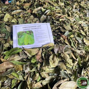 Feuilles de corossol séchées d'origine vietnamienne, matière première botanique pure pour la fabrication de thé et la production de boissons - Product Image 5