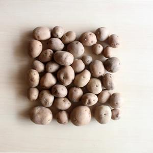 Fresh Potato Fresh Bulk Supply Fresh Potato Packed With Natural Aroma And Rich Flavor Offering Excellent Texture Worldwide - Product Image 4