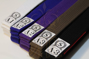 Jiu Jitsu เข็มขัด JJ JJ Jitsu ผ้าคอตตอนผ้าทอประดับมุกโลโก้ตามสั่ง - Product Image 5
