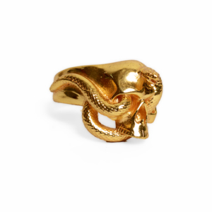Anillos Góticos de Calavera y Serpiente, Anillos de Latón Chapados en Oro de 18k, Anillos Punk Biker al por Mayor para Hombre - Product Image 1