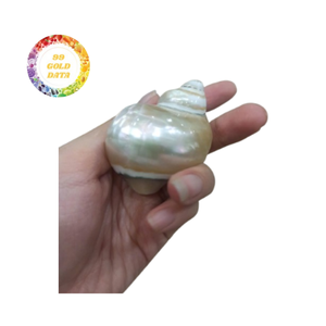 Servilleteros de concha marina bellamente elaborados, decoración hecha a mano de Vietnam para mesas de comedor, bodas y eventos en la playa - Product Image 3