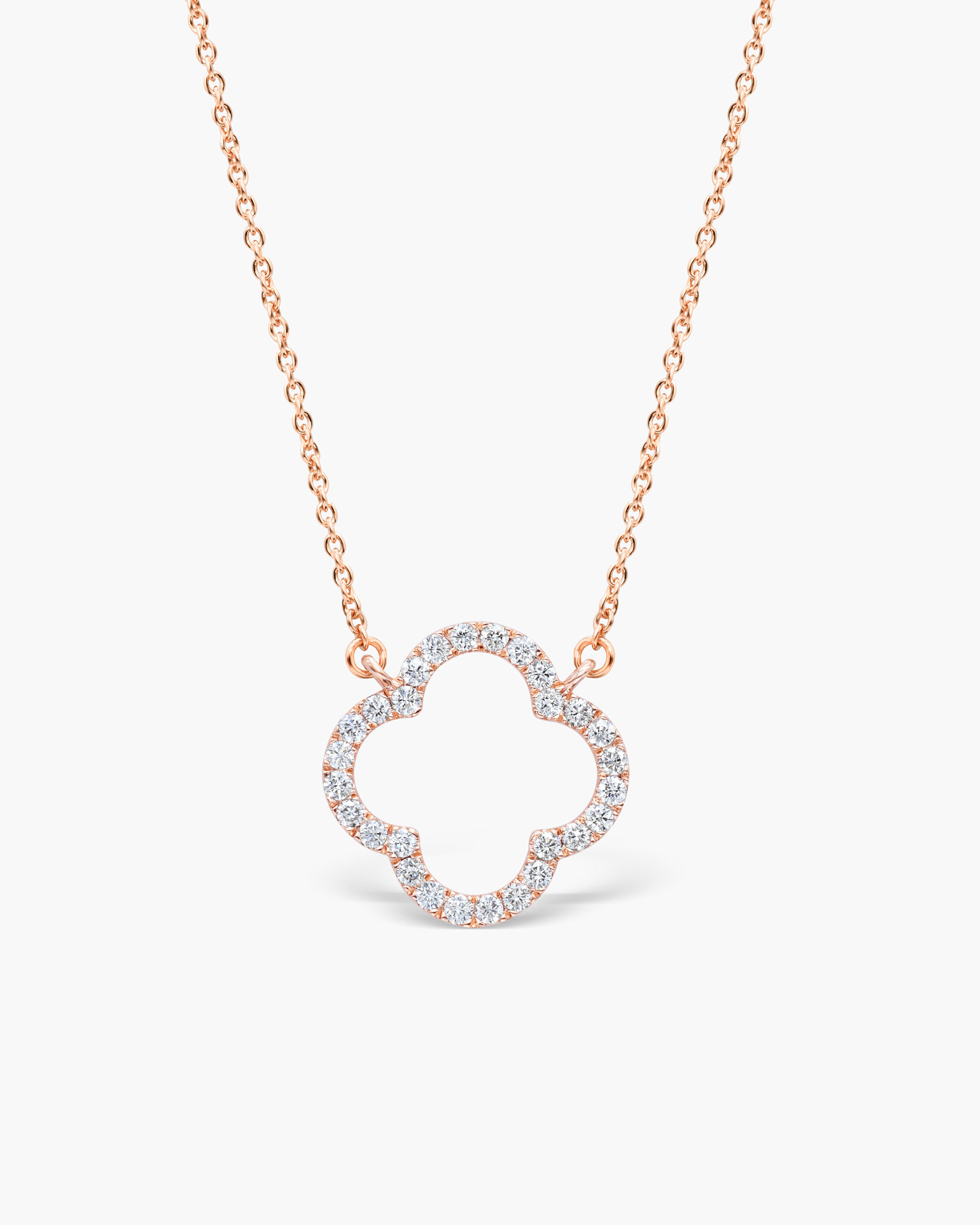 กุหลาบต้นแมดเด