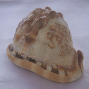 เครื่องประดับเปลือกหอยแกะสลักสไตล์ Cassis rufa เครื่องประดับเปลือกหอยแกะสลักสไตล์ Cassis rufa เปลือกสีแดงแรงจูงใจขัด14ซม. ของตกแต่ง - Product Image 2