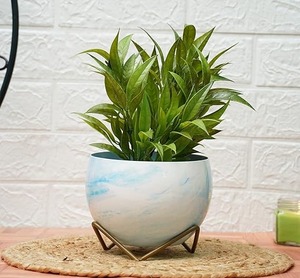 Mini jardinières en métal de haute qualité rehaussent votre espace avec des designs tendance jardinières suspendues pour balcon salon - Product Image 1