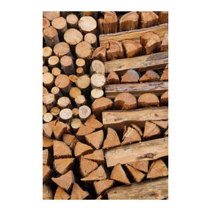 Leña fuerte merbau disponible para comercio al por mayor y proyectos de energía a granel - Product Image 3