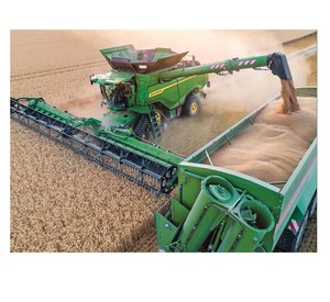 Moissonneuse-batteuse agricole MASSEY FERGUSON HOLLAND Case IH 9230 & 8240 à 4 rangs pour maïs, haute capacité et efficacité de récolte - Product Image 1