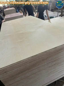 Fabricante de contrachapado de Vietnam, exportador OEM disponible, núcleo fuerte interior de contrachapado de abedul, grosor de 1220x2440 para uso en almacén - Product Image 4