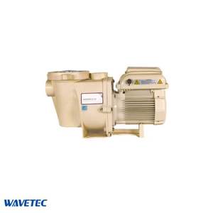 Bomba de Circulación para Piscina de 5HP con Motor TEFC, Carcasa de Plástico, Color Blanco - Product Image 6