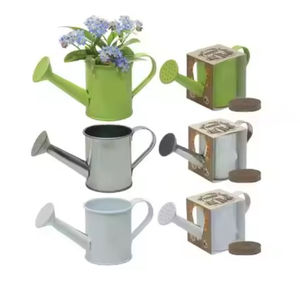 Regadera de hierro puro con recubrimiento en polvo, tamaño y forma personalizados, decoración de jardín Vintage, maceta de agua - Product Image 6