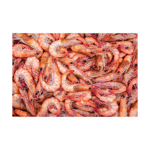 Camarones de río enteros de bajo costo, de todos los tamaños, organizados para requisitos de venta al por mayor. - Product Image 6