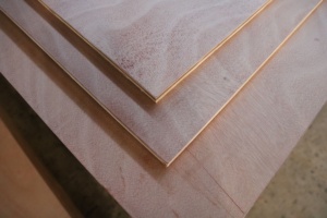 Contreplaqué Bintangor E2 Garantie 1 an pour une valeur exceptionnelle certifiée pour la construction moderne et l'intérieur Produit fiable pour les contreplaqués - Product Image 6