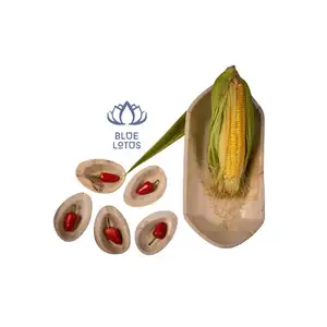 Palmiye yaprağı plaka Areca çanak tek kullanımlık mutfak piknik plaka Areca Vietnam çevre dostu ürün 100% doğal
