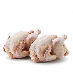 Pollo entero Halal sacrificado a mano, pollo congelado o fresco, limpio y procesado para supermercados y mercados mayoristas - Product Image 6