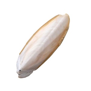 Huesos de sepia congelados esenciales para fortalecer los picos de las aves - Product Image 5