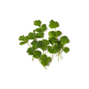 Semillas de cilantro orgánicas naturales de exportación, precio al por mayor, especias, hierbas, semillas de cilantro de grado alimenticio a granel - Product Image 5
