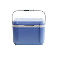 Glacière Thermique Portable Moderne 5L avec Compresseur, en Matériau PP, Maintien de la Glace pendant 48 Heures pour le Stockage Alimentaire et les Déjeuners en Camping