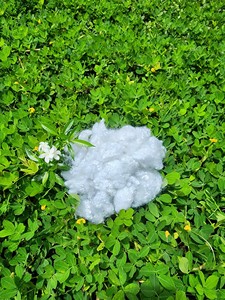 VIETNAM Offre Spéciale 7Dx32mm HCNS (creux conjugué non siliconé) fibre discontinue de polyester recyclé certifié ISO, OEKO, GRS - Product Image 6