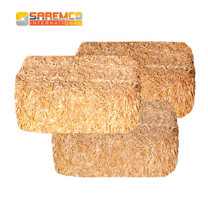 Fardos de alimentación de animales de heno de paja de trigo de calidad superior para ganado, caballos, camellos y ovejas, proteína de forraje seca al sol natural enriquecida - Product Image 4