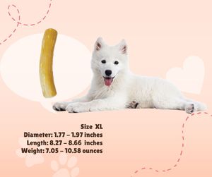 100% bois de café naturel chien bâtons à mâcher et jouets Hoang Linh SG marque Lam Dong Vietnam vente en gros Mme Tammy + 1 763 353 5245 - Product Image 5