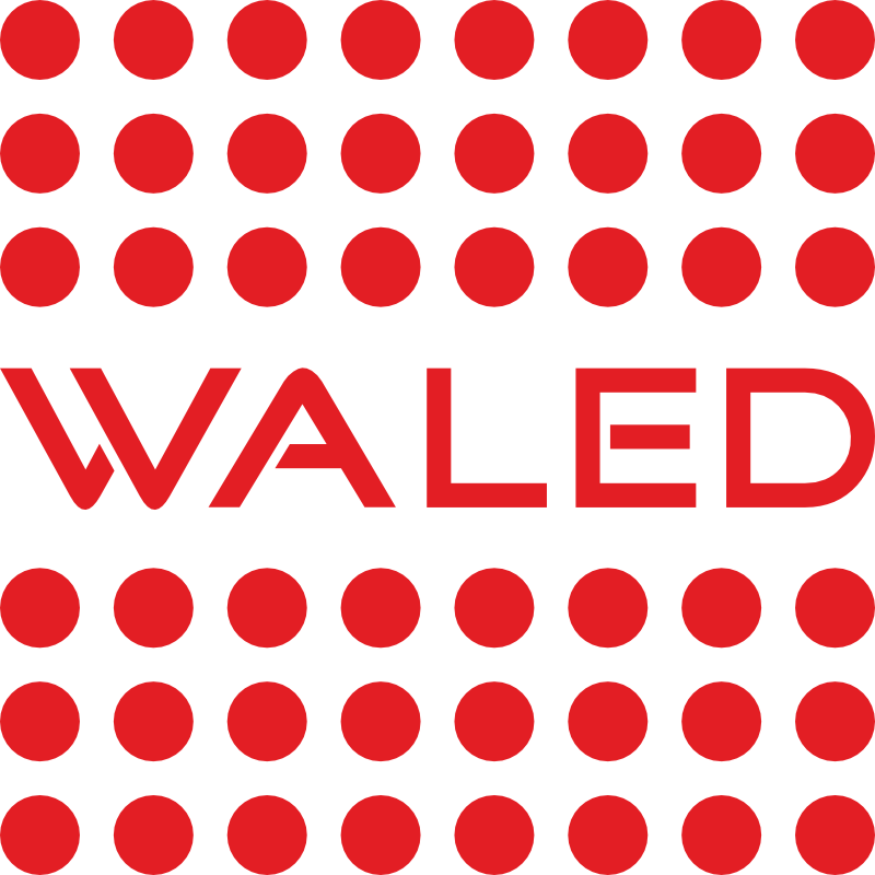 WALED VIDEOWALLS GmbH logo