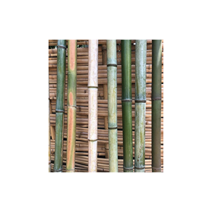 Fourniture de 100% poteaux en bambou naturel/matériau en bambou brut du Vietnam/en stock tube de poteau en bambou grande quantité - Product Image 2