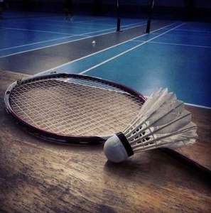 ลูกขนไก่รังนกออกแบบโลโก้ได้ตามที่ต้องการ - Product Image 1